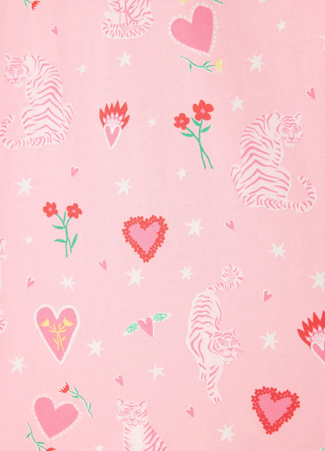 Pj Salvage- Whimsy Tiger Set